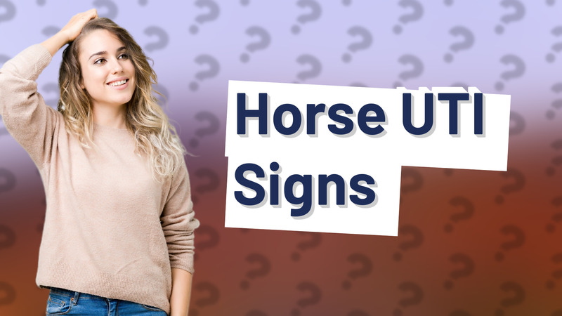 Horse UTI Signs