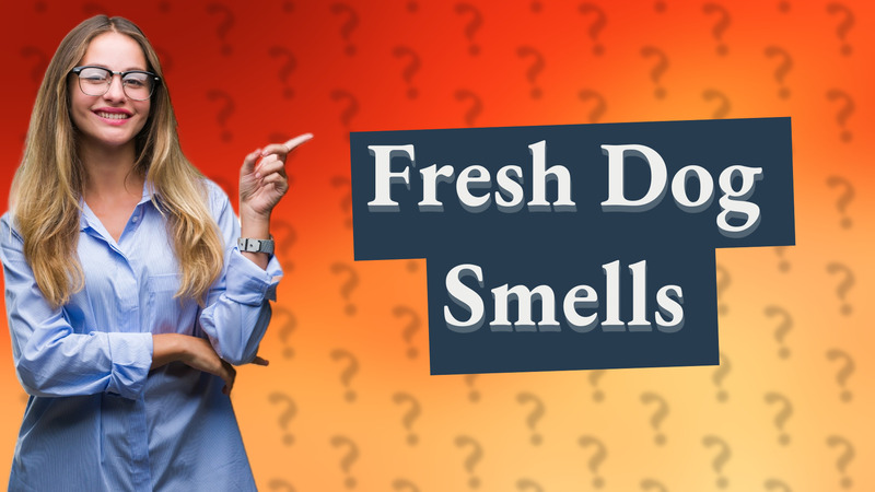 Fresh Dog Smells