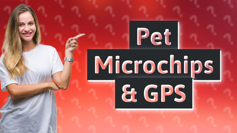 Pet Microchips & GPS