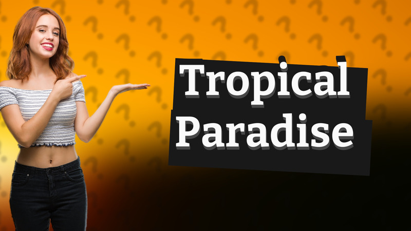 Tropical Paradise
