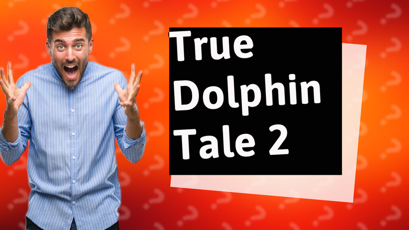 True Dolphin Tale 2