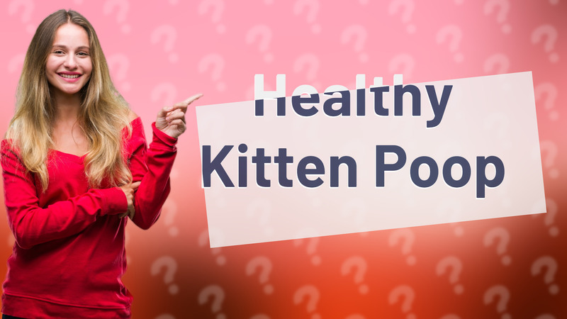 Healthy Kitten Poop