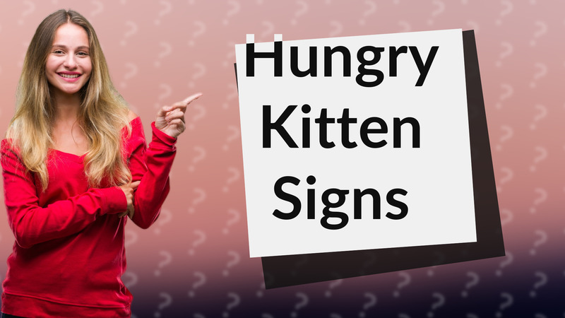 Hungry Kitten Signs
