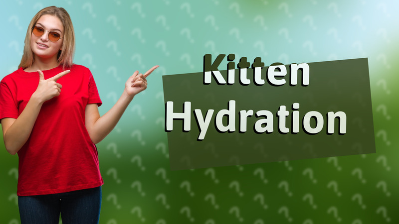 Kitten Hydration