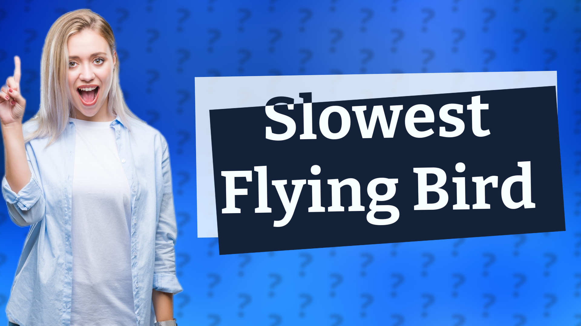 Slowest Flying Bird