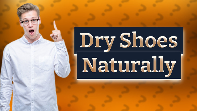 Dry Shoes Naturally