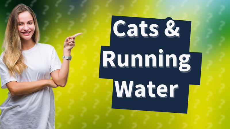 Cats & Running Water
