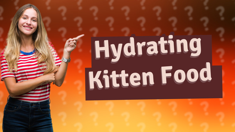 Hydrating Kitten Food
