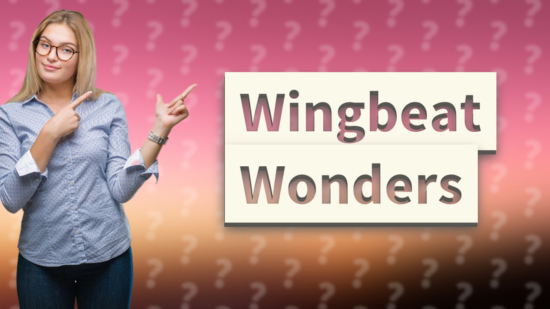 Wingbeat Wonders