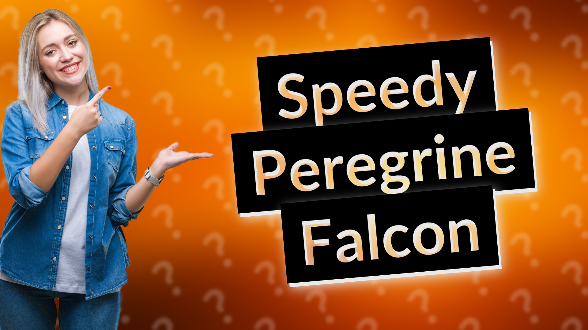 Speedy Peregrine Falcon