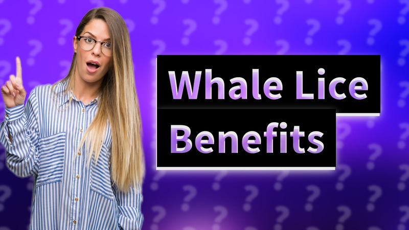 Whale Lice Benefits
