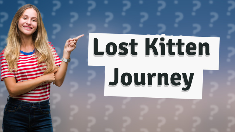 Lost Kitten Journey