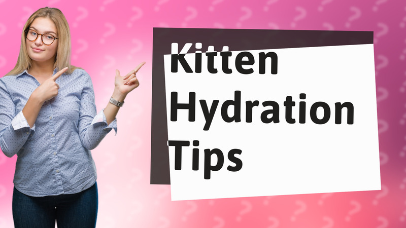 Kitten Hydration Tips