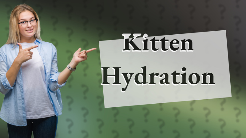 Kitten Hydration