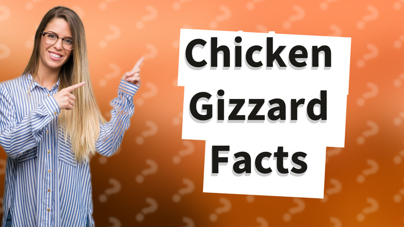 Chicken Gizzard Facts
