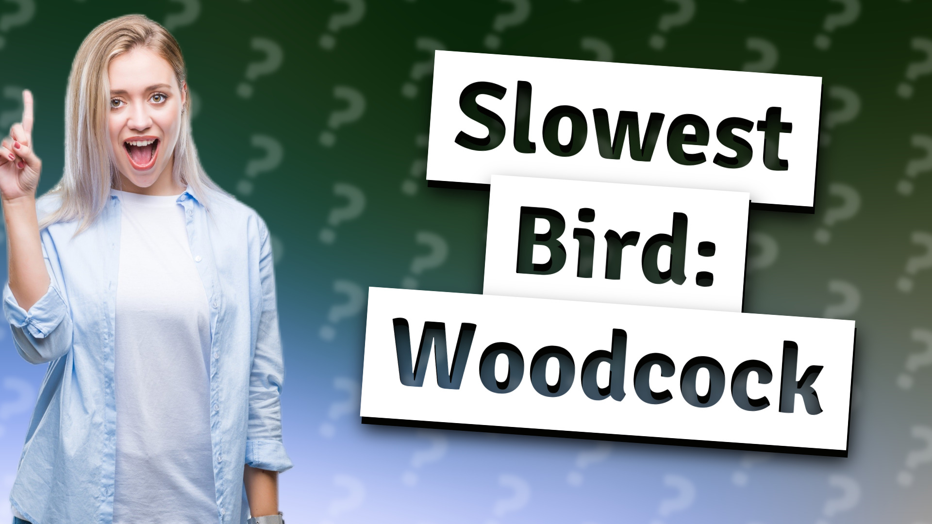 Slowest Bird: Woodcock