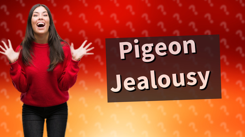 Pigeon Jealousy