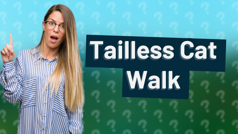 Tailless Cat Walk