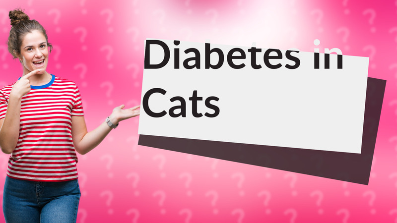 Diabetes in Cats