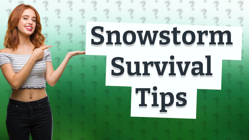 Snowstorm Survival Tips