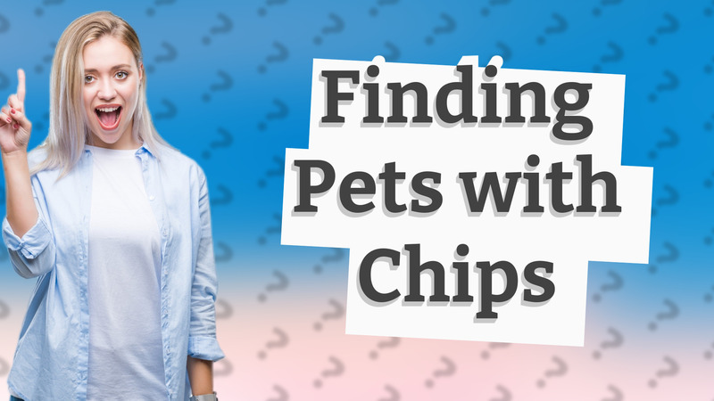 Finding Pets with Chips