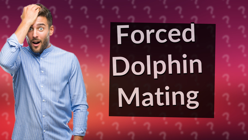 Forced Dolphin Mating