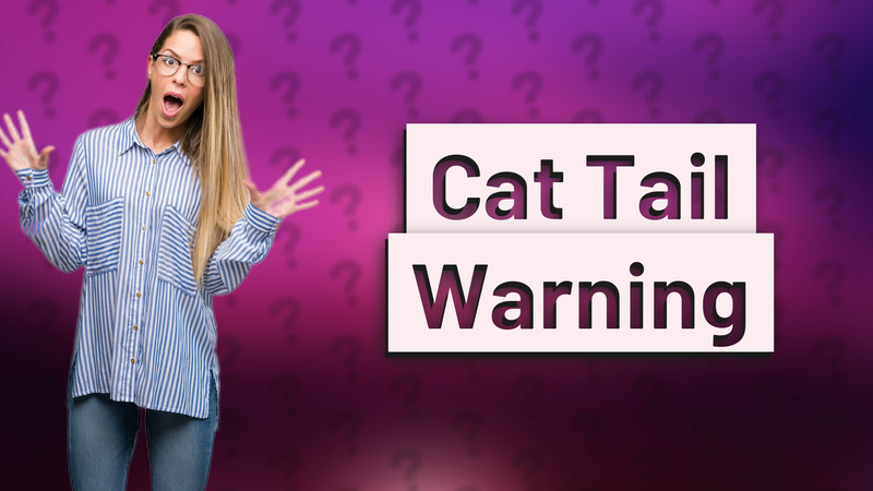 Cat Tail Warning