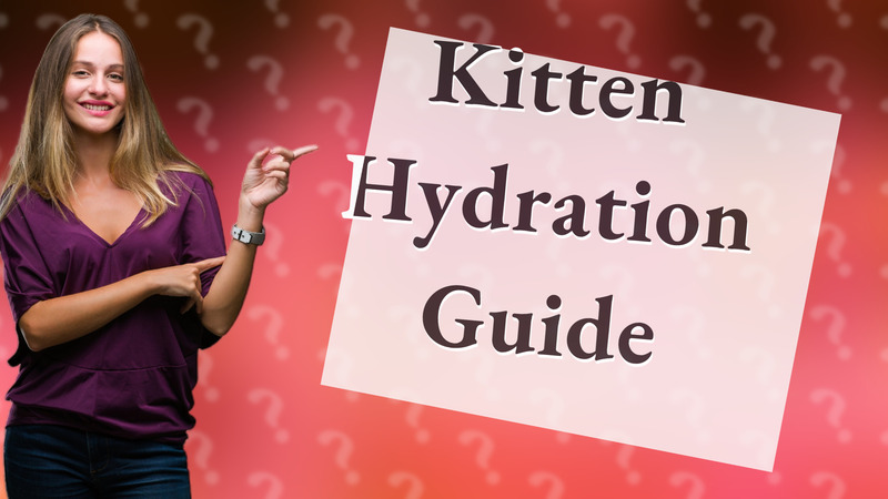 Kitten Hydration Guide