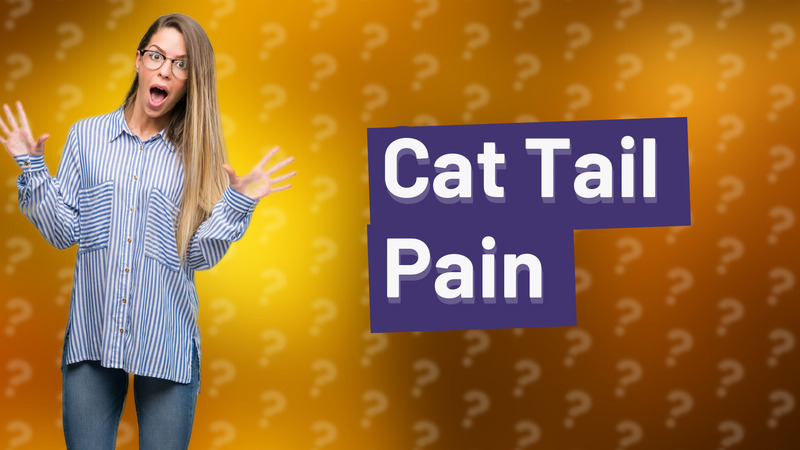 Cat Tail Pain