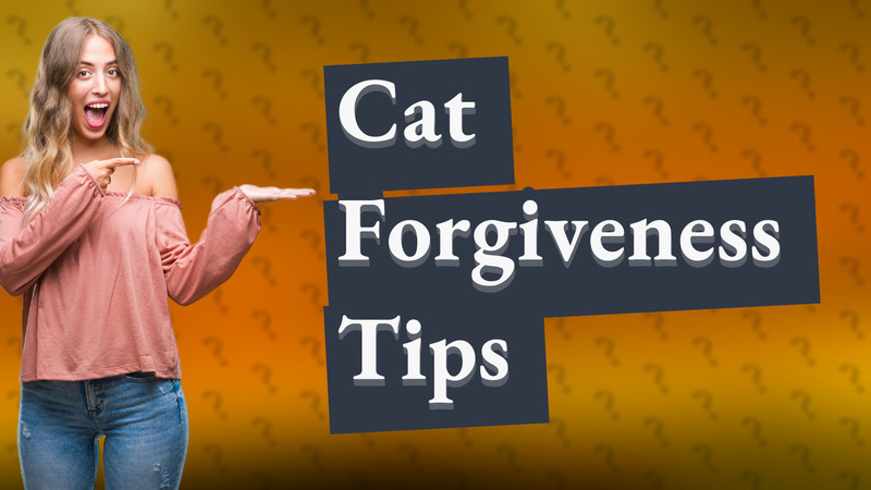 Cat Forgiveness Tips
