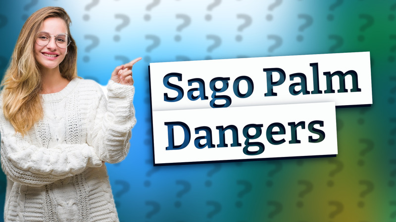 Sago Palm Dangers