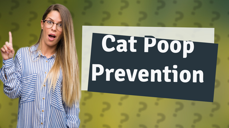 Cat Poop Prevention