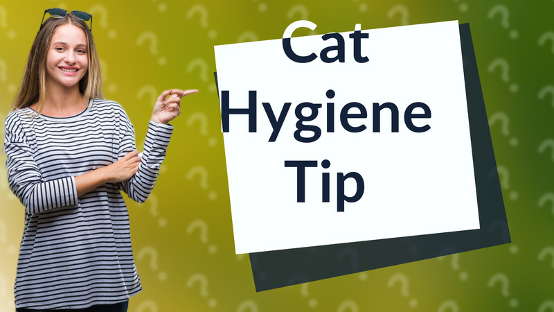 Cat Hygiene Tip