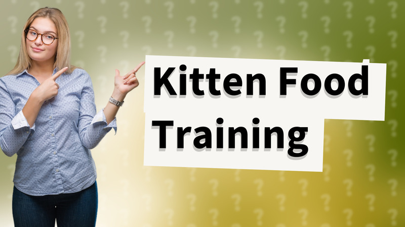 Kitten Food Training