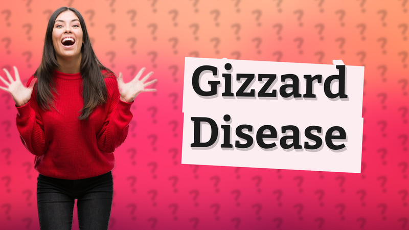 Gizzard Disease