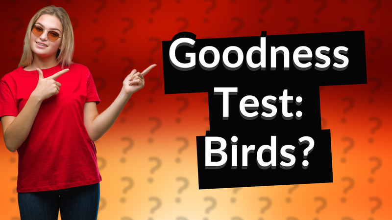 Goodness Test: Birds?