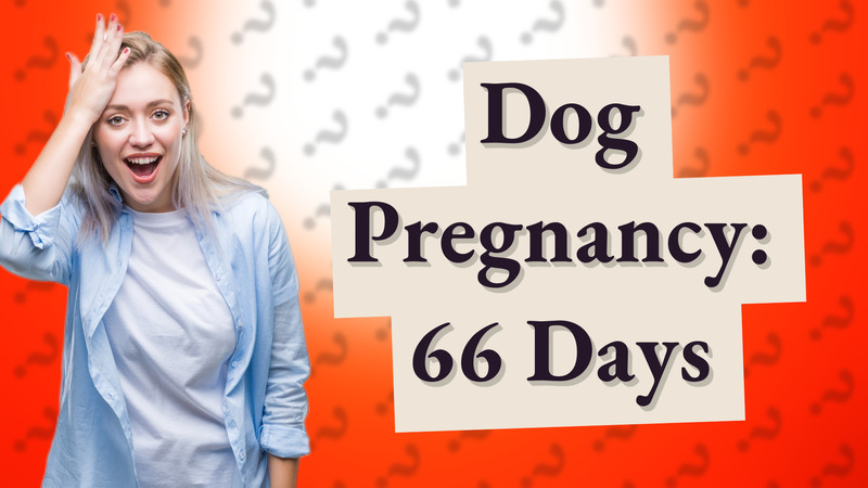 Dog Pregnancy: 66 Days
