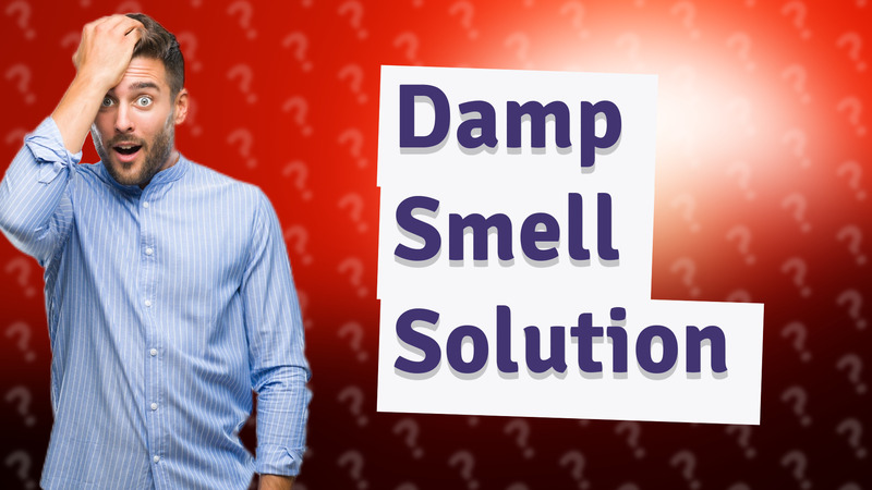 Damp Smell Solution