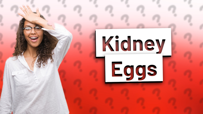 Kidney Eggs