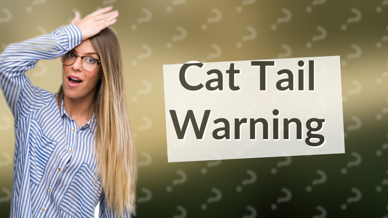 Cat Tail Warning