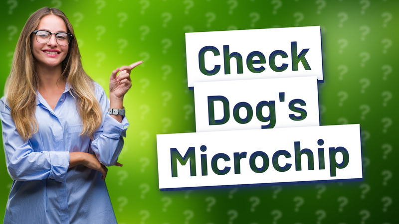 Check Dog's Microchip