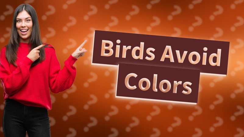 Birds Avoid Colors
