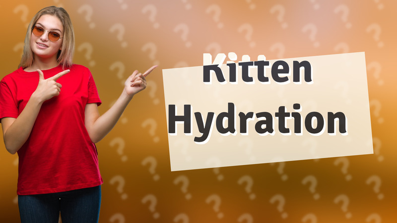 Kitten Hydration