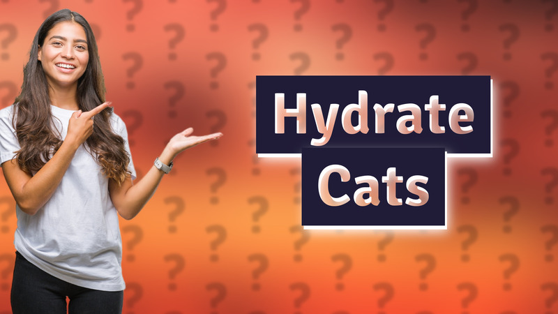 Hydrate Cats