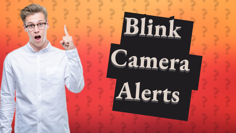 Blink Camera Alerts