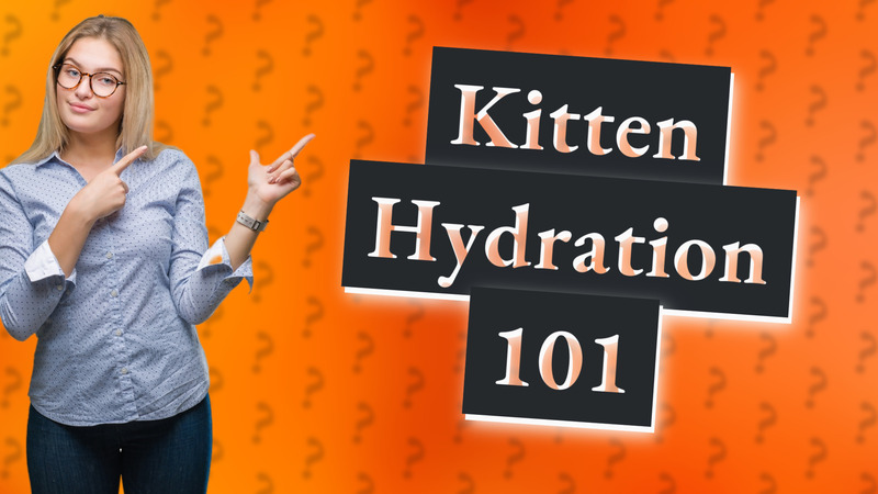 Kitten Hydration 101