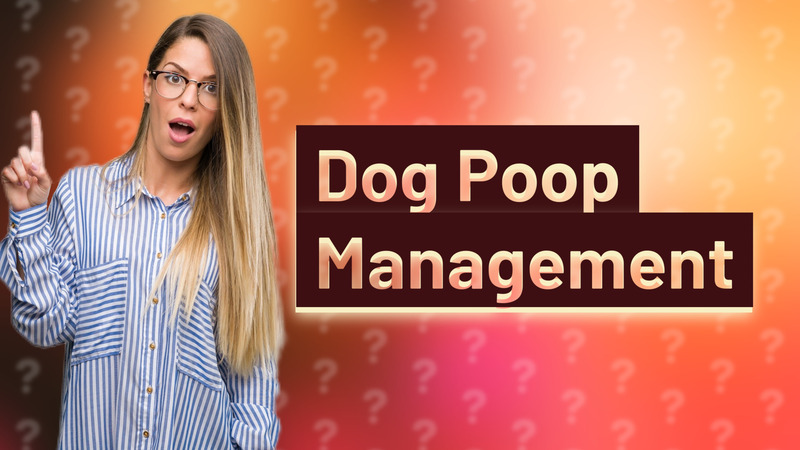 Dog Poop Management