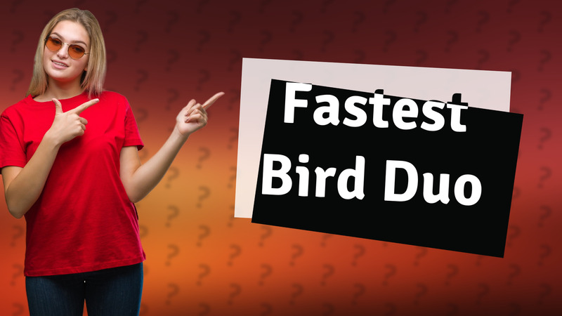 Fastest Bird Duo