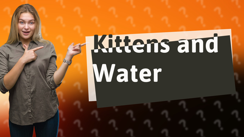 Kittens and Water