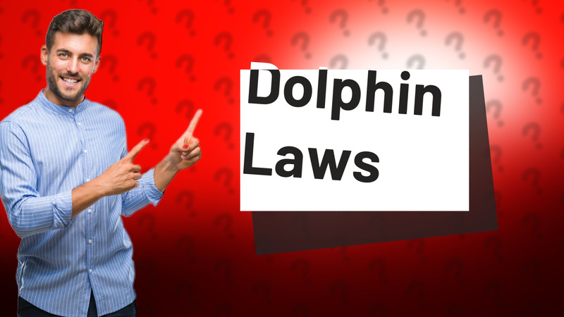 Dolphin Laws